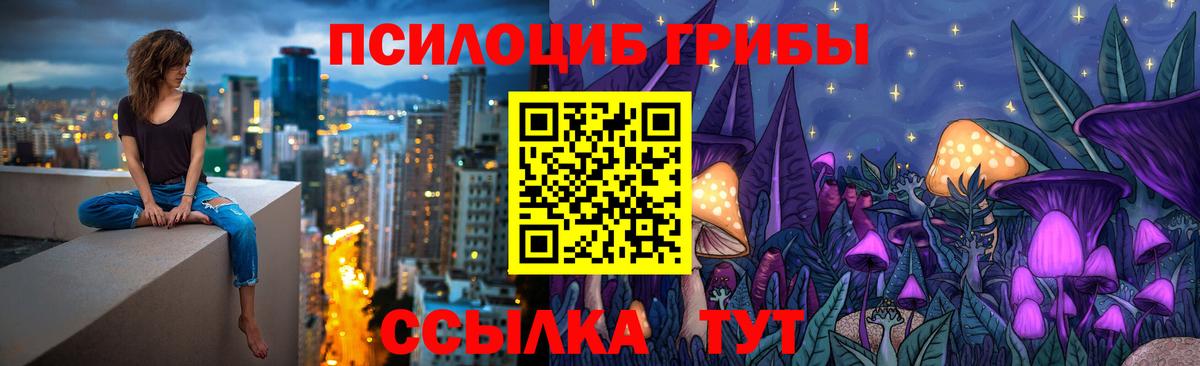 Псилоцибиновые грибы Cubensis Кудрово